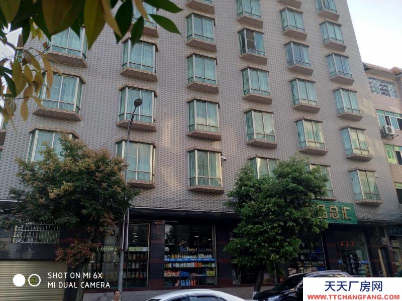 (出租) 清遠連南房屋整棟出租，單層無間隔460方一層