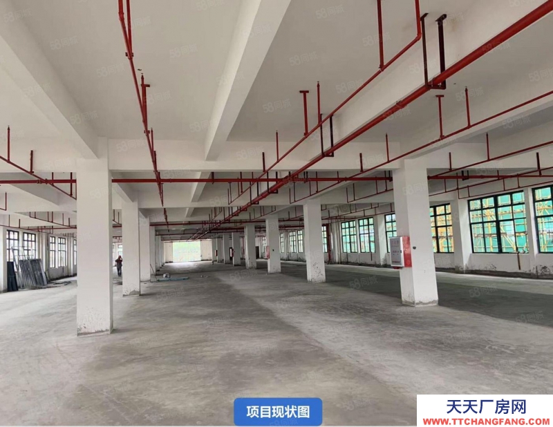 (出售) 清遠市雄興工業區二類用地全新廠房出售380萬買一層首付80萬