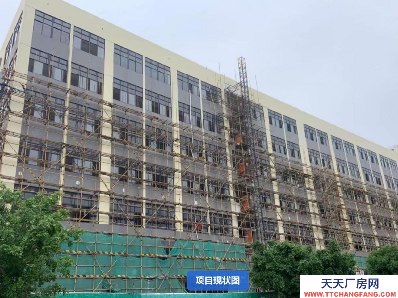 (出售) 清遠市雄興工業區二類用地全新廠房出售380萬買一層首付80萬