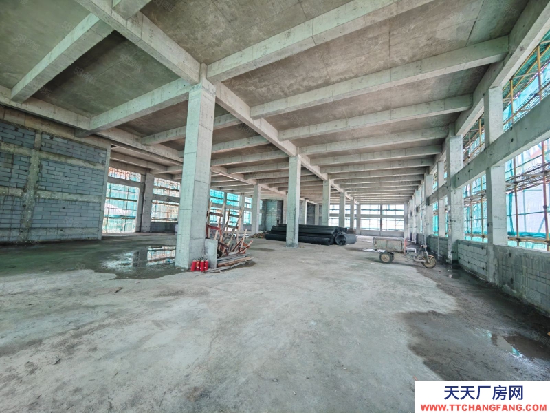 (出售) 清遠GMP 混凝土結構 一企一棟 配套完善 高速直達