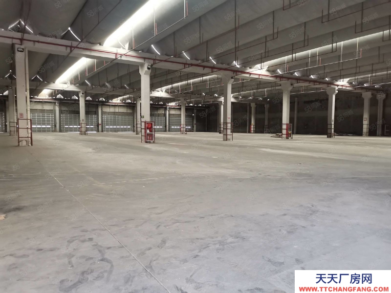 嘉興秀洲(出租) 秀洲物流園區獨棟單層4900平米單層高平臺物流庫出租