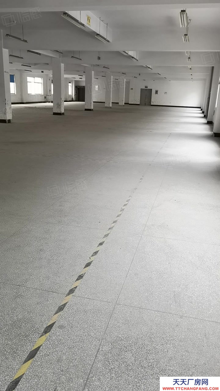 嘉興秀洲(出租) 高照樓上300到800平小面積適合食品服裝各類電商批發倉儲