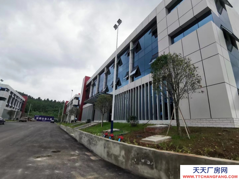 花園式，開放式園區(qū)，新廠房，獨(dú)棟，可以分租，0公攤，無中介