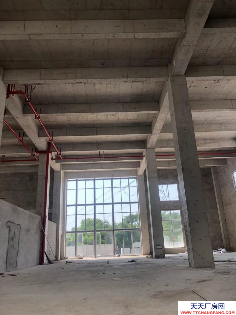 蔡家現(xiàn)房標(biāo)準(zhǔn)廠房/輕軌近公交旁物流園旁/買(mǎi)來(lái)即可用