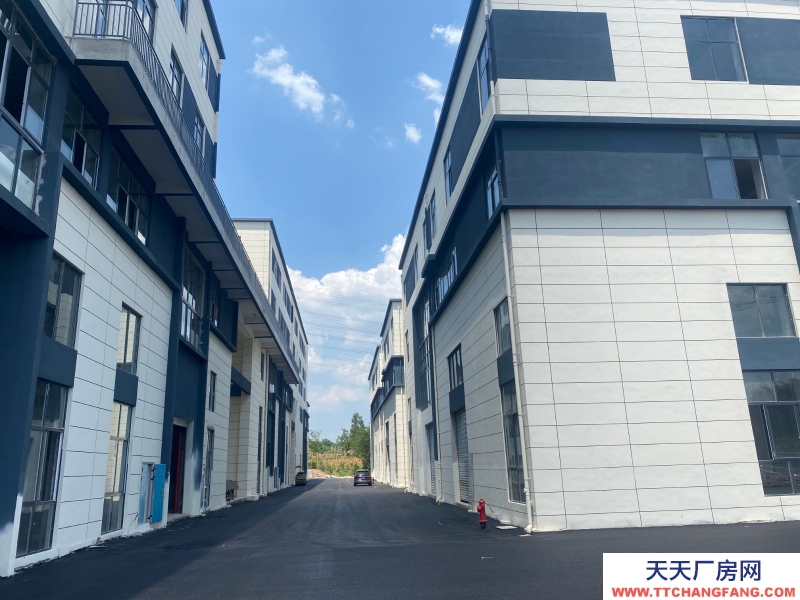 蔡家現(xiàn)房標(biāo)準(zhǔn)廠房/輕軌近公交旁物流園旁/買(mǎi)來(lái)即可用