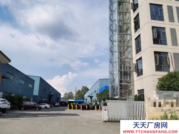 邵陽市隆回區 隆回工業園 單層鋼結構廠房出租 價格美麗