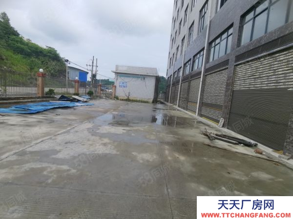 邵陽市隆回區 城東南工業園 全新廠房出租 雙首層 工程 倉庫 展廳