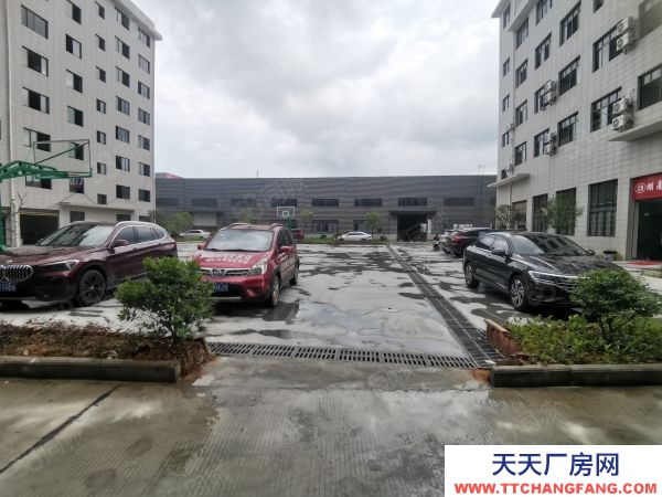 邵陽市隆回區(qū) 隆回工業(yè)園 鋼結(jié)構(gòu)廠房出租 證件齊全 手續(xù)齊全