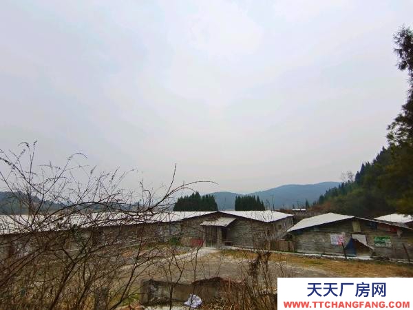 邵陽市隆回區 2000平養豬場出租，可養豬1000余頭