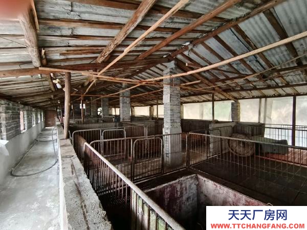 邵陽市隆回區 2000平養豬場出租，可養豬1000余頭
