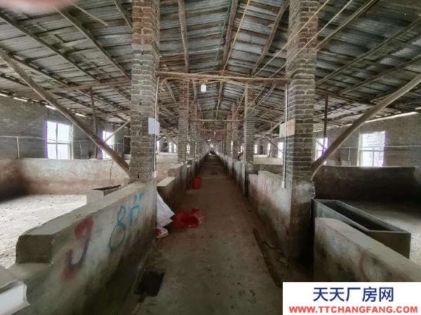 邵陽市隆回區 2000平養豬場出租，可養豬1000余頭
