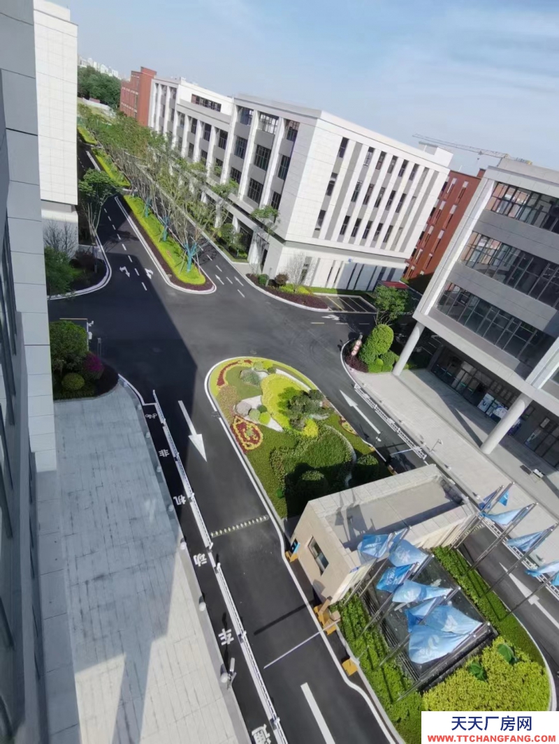 天府新區視高板塊科技型產業園，S5號線旁 50年產權獨棟樓宇