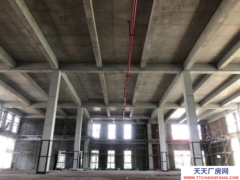 1366m2高標準工業廠房。低價現房。價格可面議。