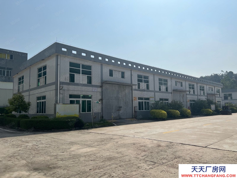 (出售) 廣東清遠英德東華9000化工廠房出售，帶紅本