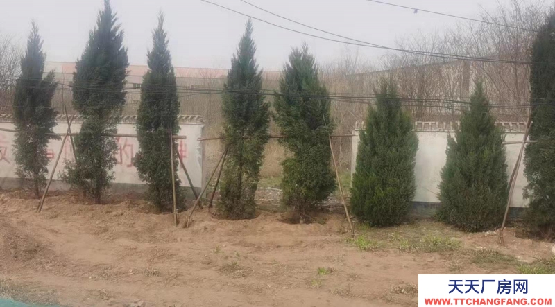 邯鄲 成安縣  出售廠房15畝，有證，可過戶。