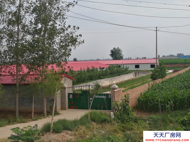 邯鄲 大名縣  廠房占地1000平，河北河南交界處