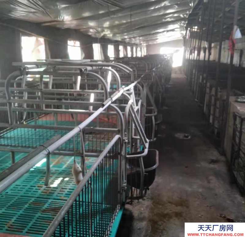 邯鄲 大名縣 養殖場，出租/出售，做工廠倉庫都可以。