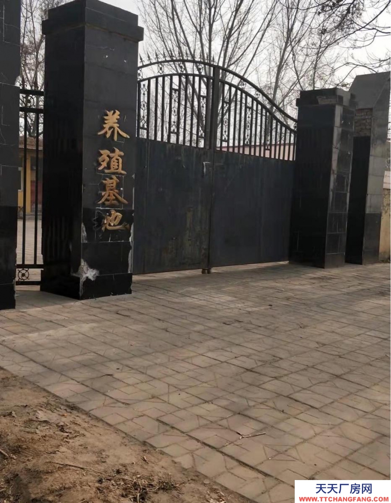 邯鄲 大名縣 養殖場，出租/出售，做工廠倉庫都可以。