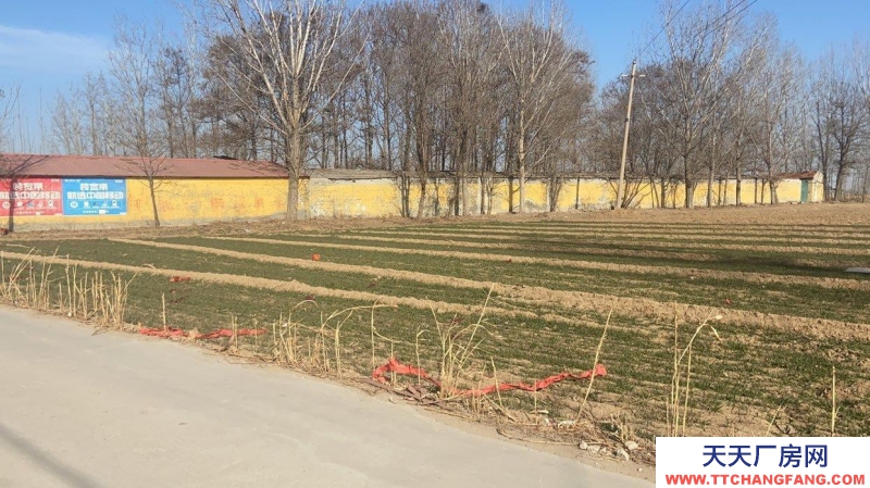 邯鄲 大名縣 養殖場，出租/出售，做工廠倉庫都可以。