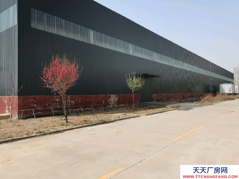 邯鄲 磁縣 個人工廠閑置廠房每平6元，實地拍攝實景圖廠房內設備已騰清了。