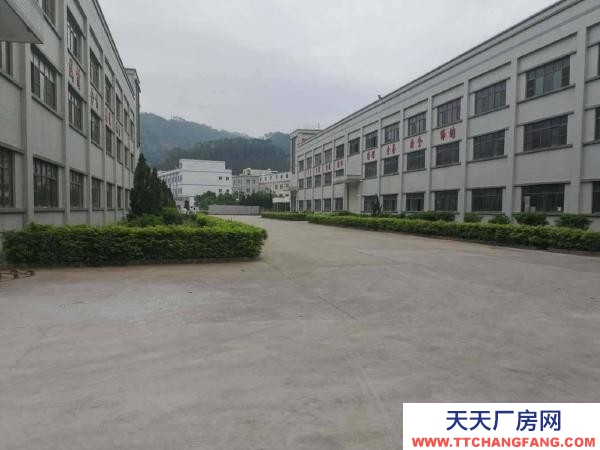 邵陽市新邵區 自有新邵花園式廠房出租，500平米起分