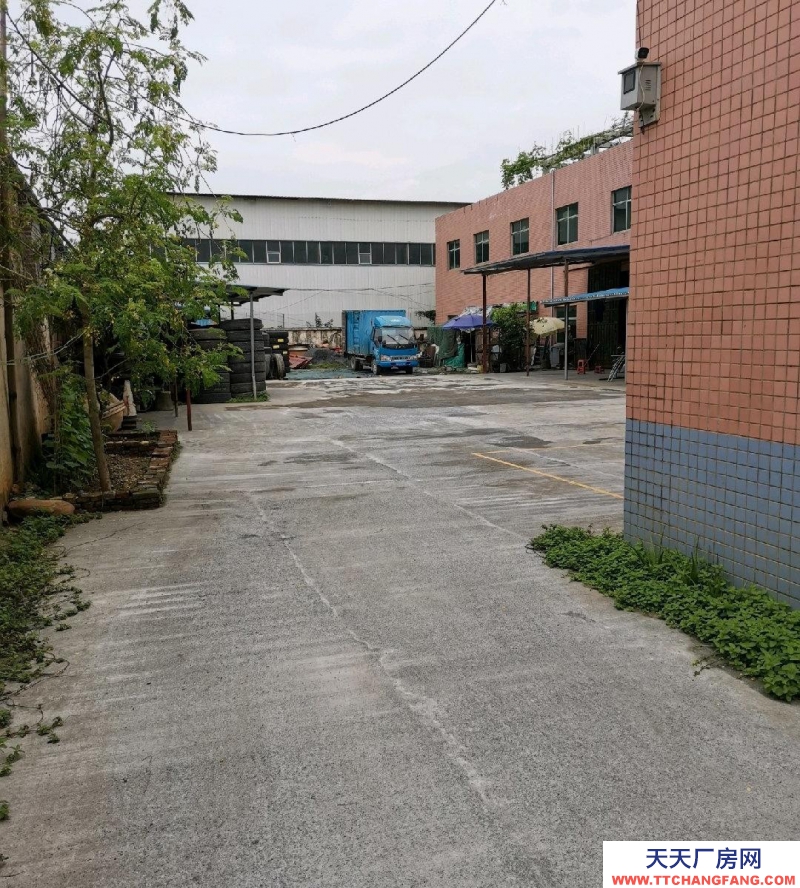 (出租) 清遠標準建筑,首層4.5米,可做門面、旅業、飯店、工廠、倉庫等