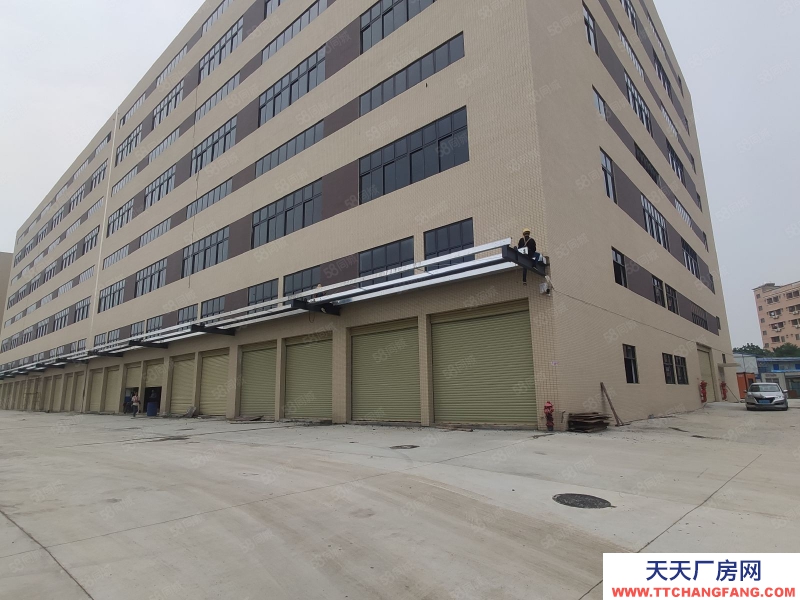 (出租) 肇慶1000平起租肇慶大旺高新區全新重工業丙二類消防廠房倉庫出租