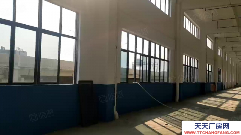 (出租) 肇慶1000平起租肇慶大旺高新區全新重工業丙二類消防廠房倉庫出租