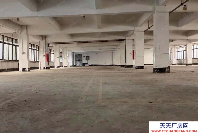 (出租) 肇慶端州特價廠房10元端州區(qū)睦崗大洲獨院廠房吉地招租