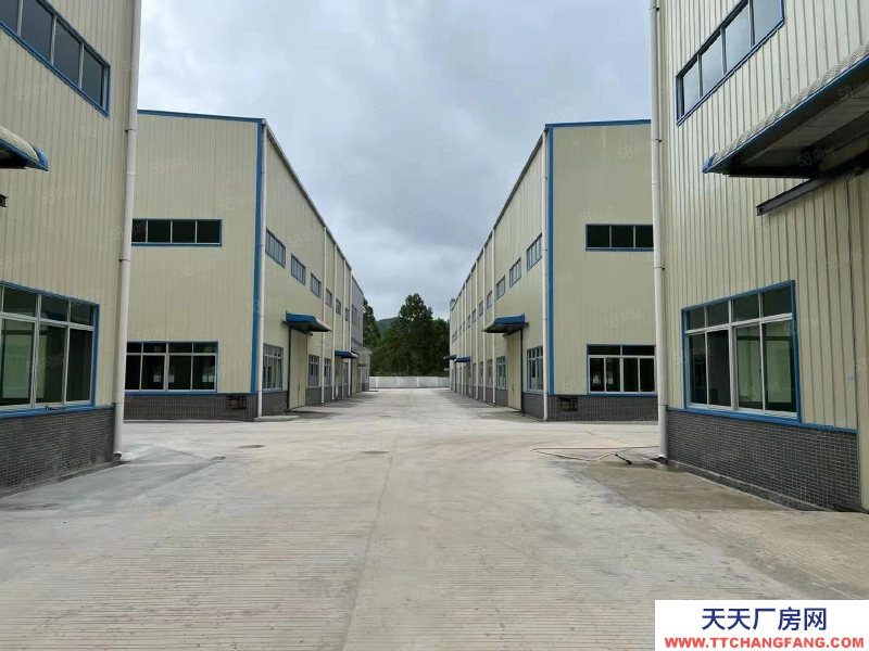 (出租) 肇慶端州城東區(qū)廠房出租