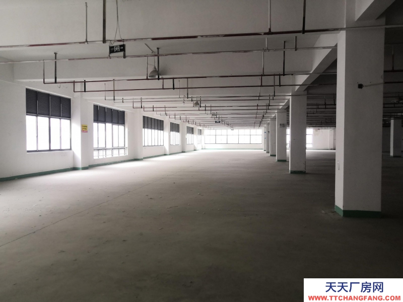 織里整層廠房出租1846平方,有電梯,適合童裝生產加工。