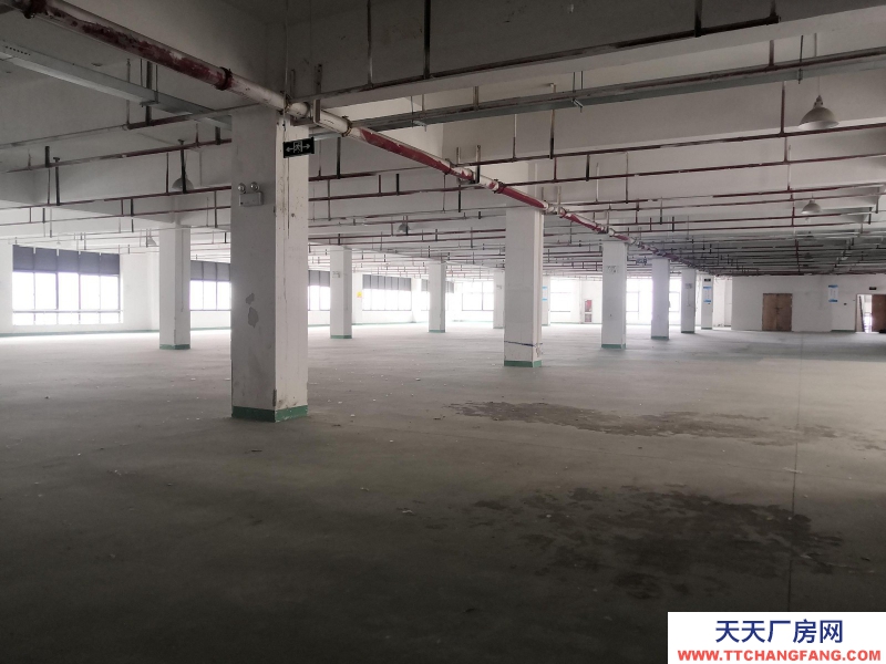 織里整層廠房出租1846平方,有電梯,適合童裝生產加工。