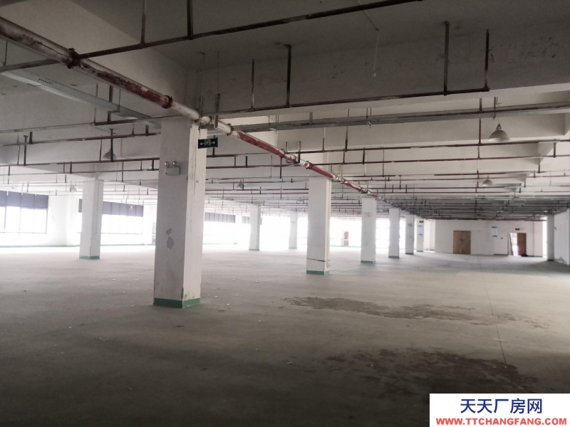 織里整層廠房出租1846平方,有電梯,適合童裝生產加工。