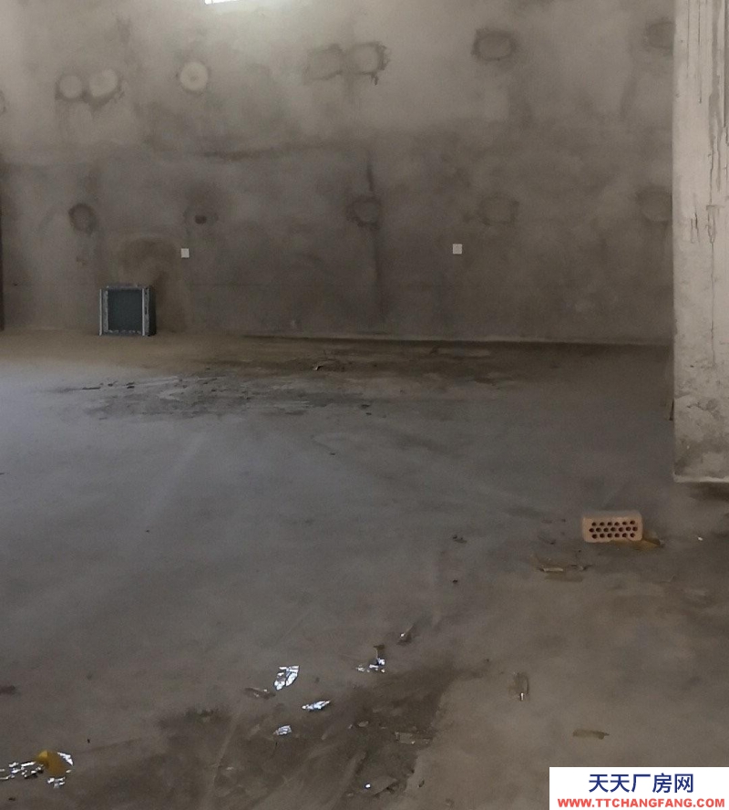 (出租) 定西隴西公路旁邊 交通便利