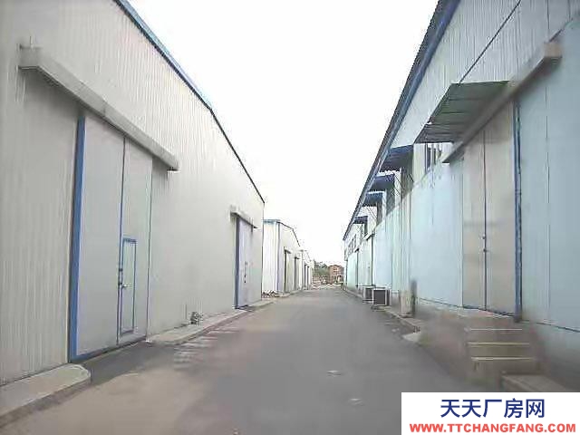 (出租)定西臨洮縣 北關紙坊新村18棟后院