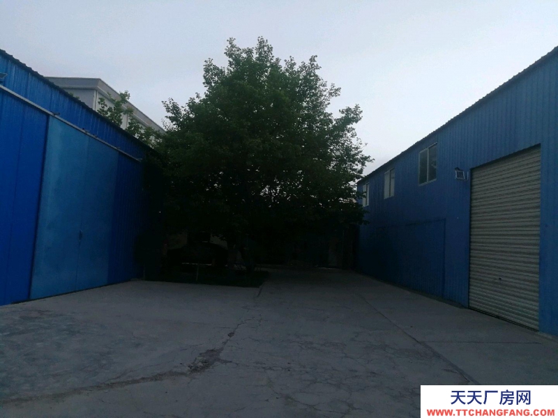 (出租) 張掖甘州倉庫位于嘉禾農貿市場東側交通便利，道路通暢。