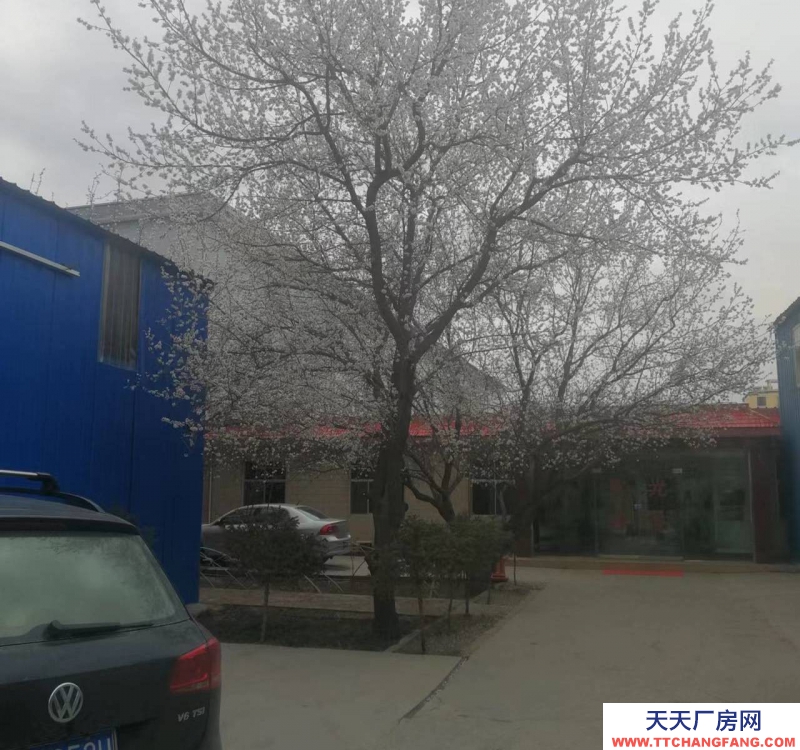 (出租)張掖甘州中心廣場太和村一社28號庫房