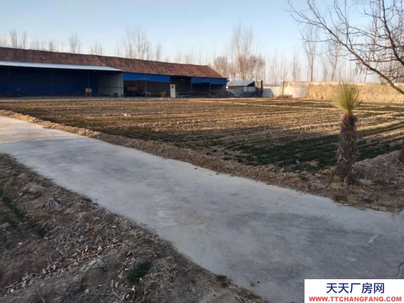 德州平原室內室外各2000平