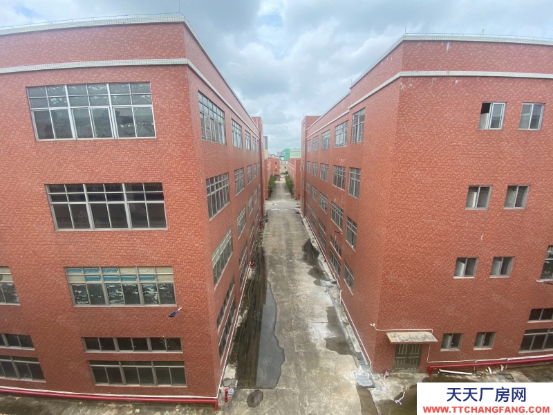 (出租) 廣東中山丙二類消防大型紅本倉庫廠房出租