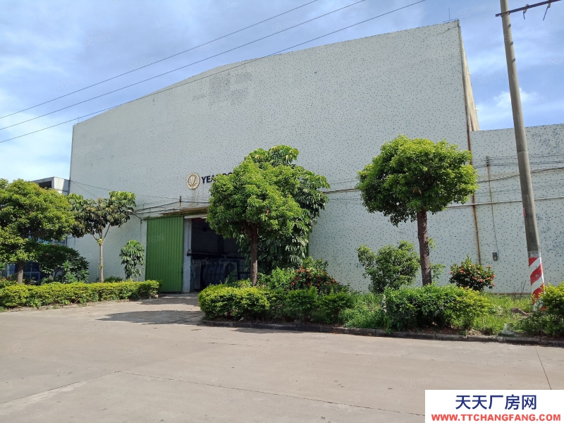 (出租) 廣東中山228國道 民眾工業園內倉庫廠房 約20000方