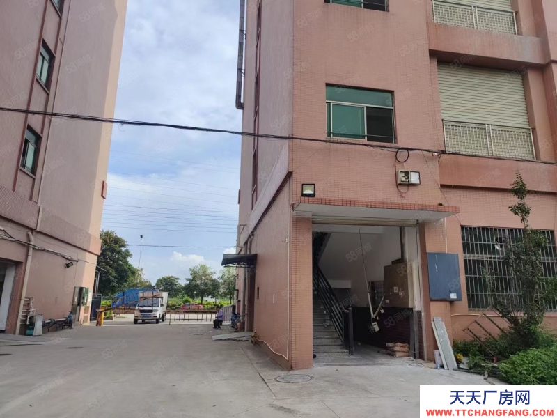 (出租) 廣東中山永興樓上廠房出租，花園式廠房1800方大小可分租