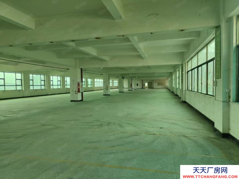 (出租) 廣東中山永興樓上廠房出租,花園式廠房1800方大小可分租