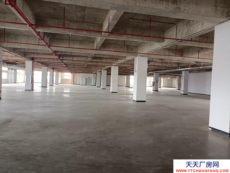 (出租) 廣東中山東鳳豪華工業園區樓上3900方,1500起分!豪華精裝辦公室