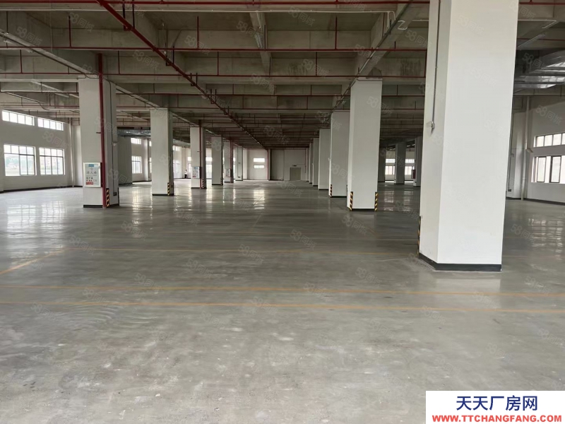 (出租) 廣東中山東鳳豪華工業園區樓上3900方,1500起分!豪華精裝辦公室