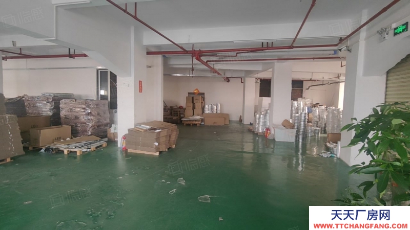 (出租) 廣東中山小欖埒西一市場附近獨(dú)門獨(dú)院樓房5樓1150方，現(xiàn)成水電辦公室