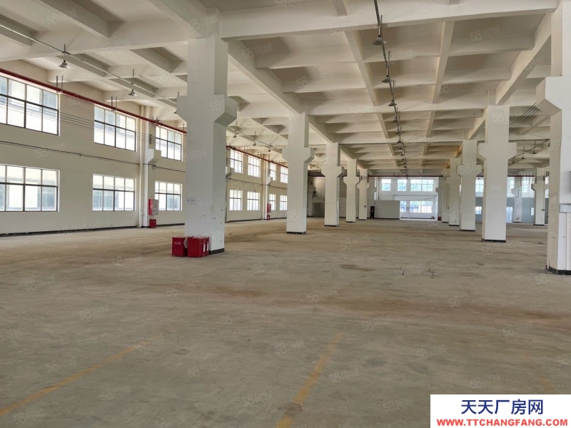 (出租) 廣東中山東利工業(yè)區(qū)8000平獨(dú)院標(biāo)準(zhǔn) 廠房倉(cāng)庫(kù)招租紅本雙證