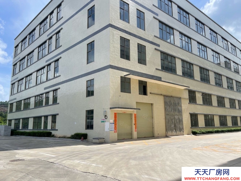 (出租) 廣東中山東利工業(yè)區(qū)8000平獨(dú)院標(biāo)準(zhǔn) 廠房倉庫招租紅本雙證