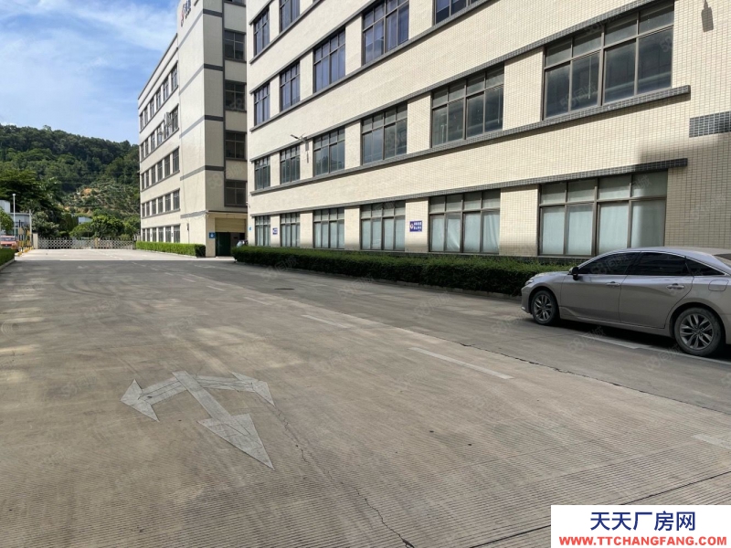 (出租) 廣東中山東利工業(yè)區(qū)8000平獨(dú)院標(biāo)準(zhǔn) 廠房倉(cāng)庫(kù)招租紅本雙證