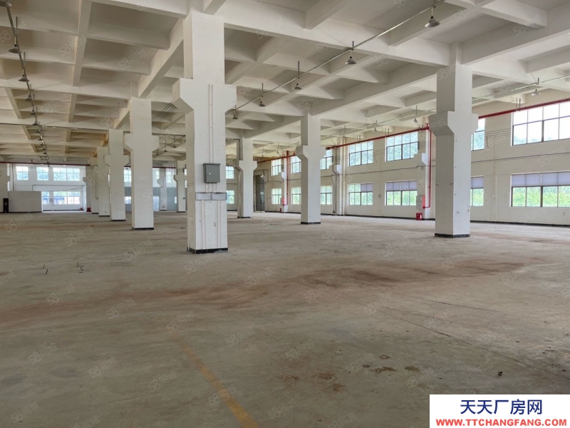 (出租) 廣東中山東利工業(yè)區(qū)8000平獨(dú)院標(biāo)準(zhǔn) 廠房倉(cāng)庫(kù)招租紅本雙證