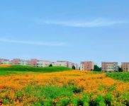 (出售) 通州現房廠房租售 有房本 可生產環評 送半層